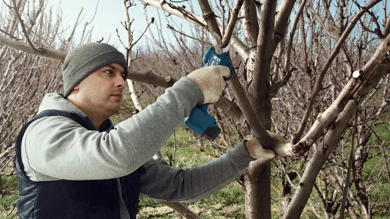 PRO Pro Pruner image 8