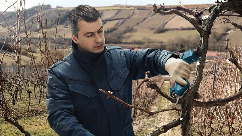 PRO Pro Pruner image 2