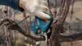 PRO Pro Pruner image 4