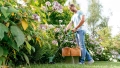 Lawn Edge Trimmer EasyGrassCut 26 image 4