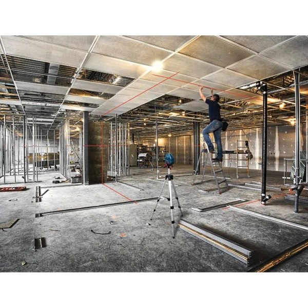 GLL 3-15 X Professional Bosch 