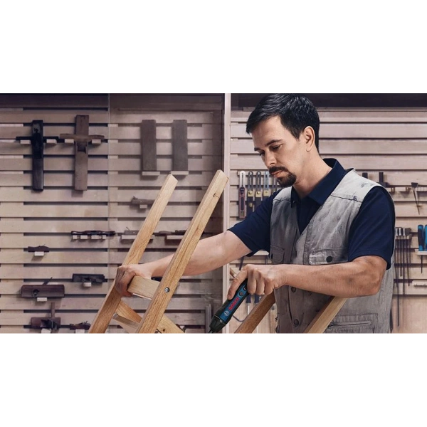 Bosch GO Professional Bosch 